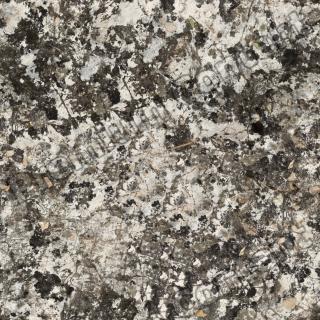 Seamless Stone 0021